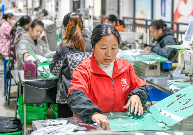 湖南道县：稳就业促增收