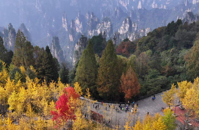 秋色 张家界 