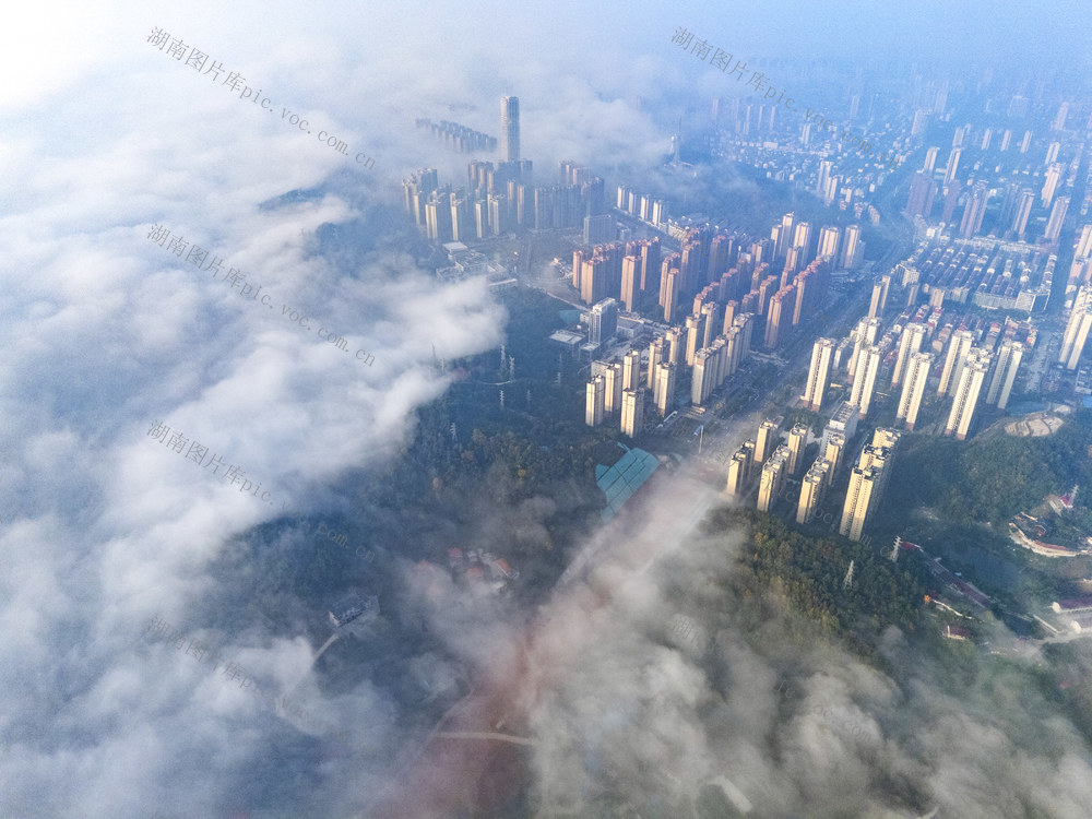 晨雾 秋景 深秋