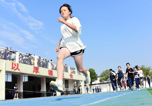 体育  学校  少年  运动会