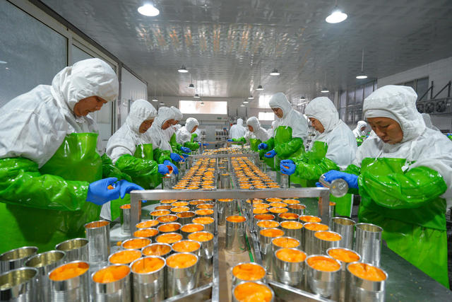 农业 柑橘加工 柑橘罐头 水果产业 出口