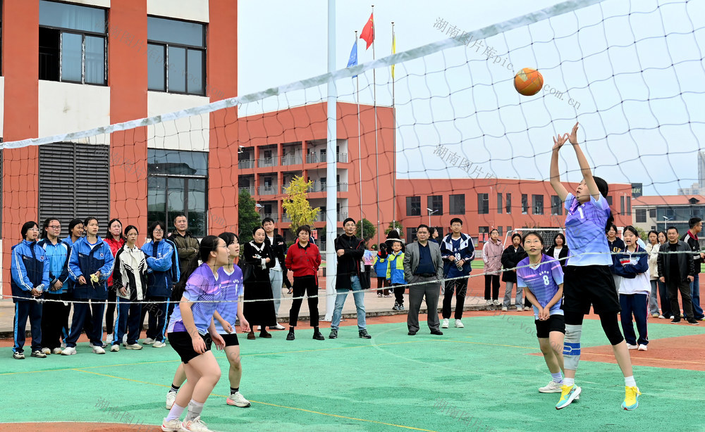运动 体育 排球 比赛 学生 教育 学校 校园生活 运动员 球