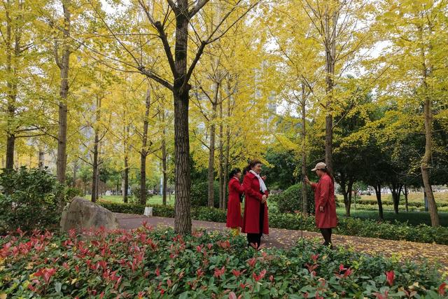 湘西  土家族  苗族 市民 游人 赏银 休闲  黄金甲  美景   合影