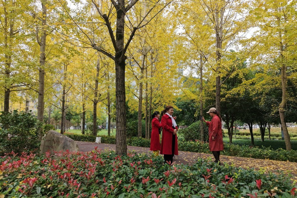 湘西  土家族  苗族 市民 游人 赏银 休闲  黄金甲  美景   合影