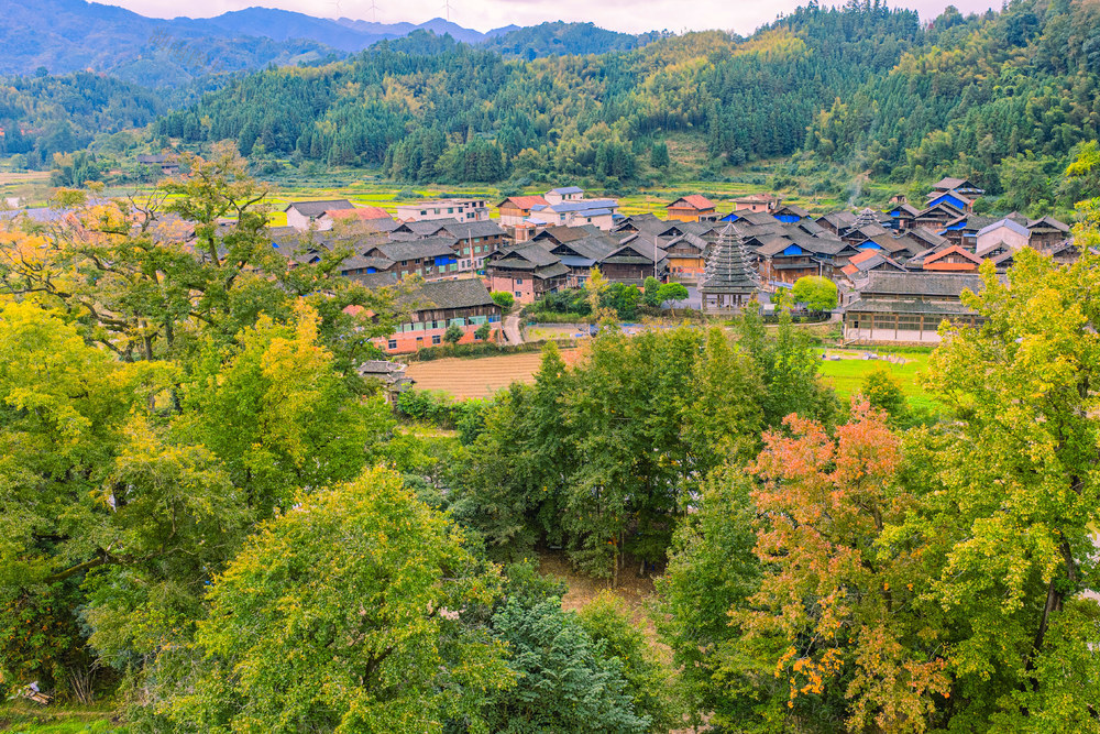 山林 秋景 秋色 村落 乡村