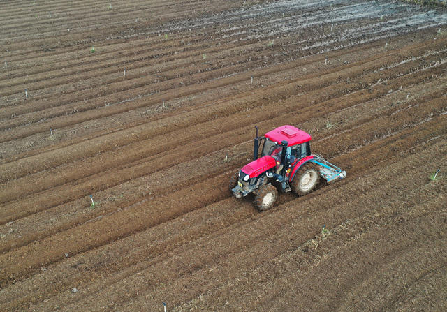 嘉禾：立冬时节农事忙