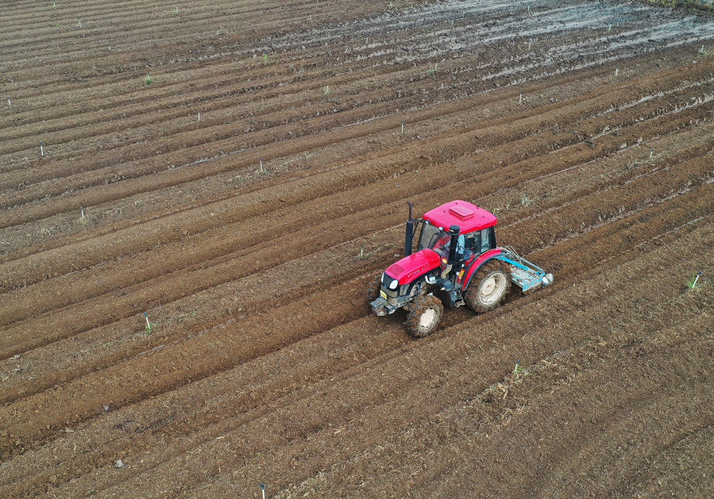 嘉禾：立冬时节农事忙