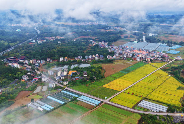嘉禾：生态乡村秀画卷
