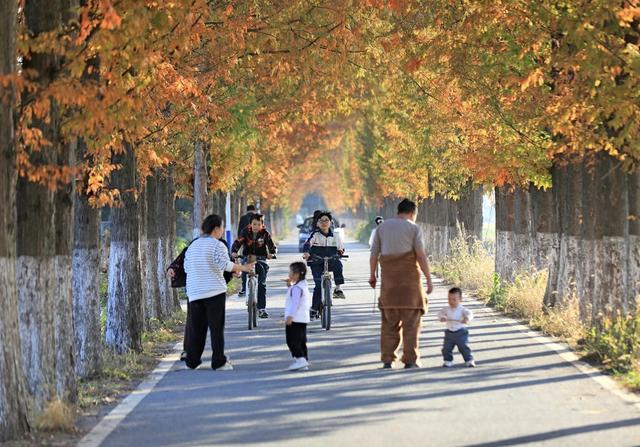 湖南  常宁  乡村  公路  美景