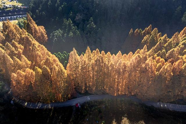 生态  人居环境  旅游  景区  森林  