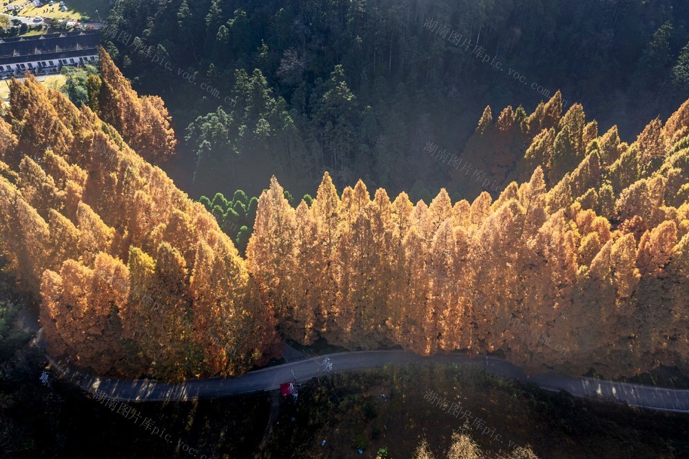 生态  人居环境  旅游  景区  森林  