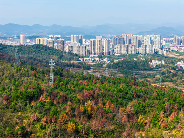 湿地公园  冬日风景 