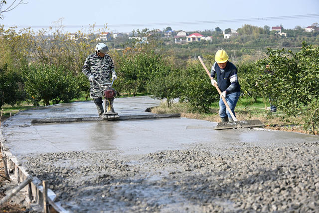 柑橘  产业发展  惠农项目  道路硬化  