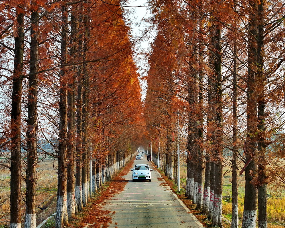 夕照 公路 景色美