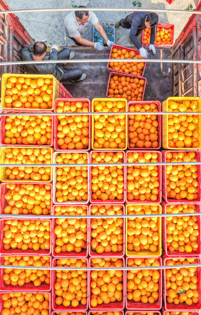 湖南道县：产销联动助增收