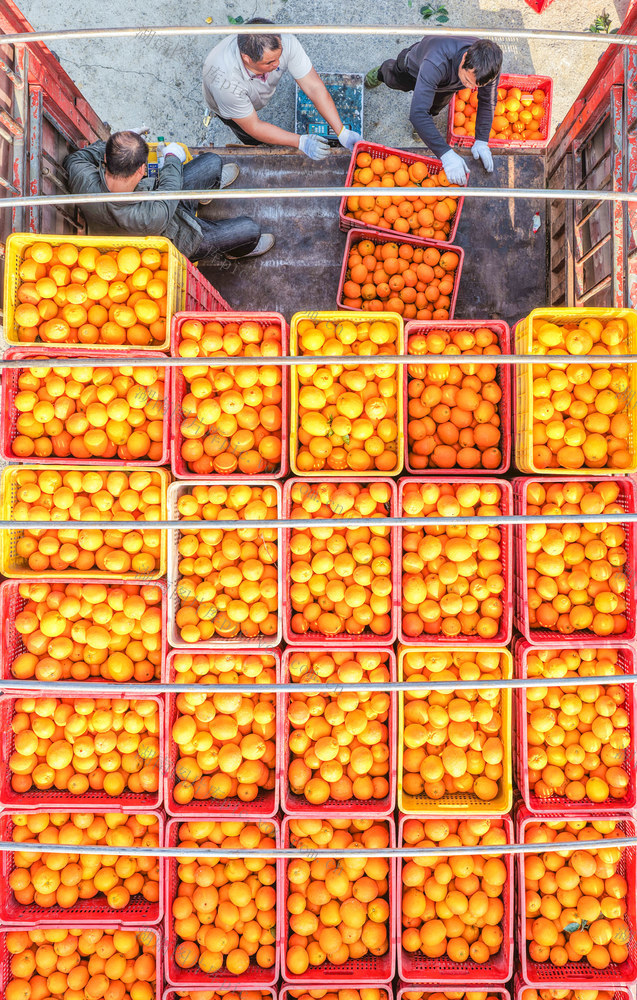 湖南道县：产销联动助增收