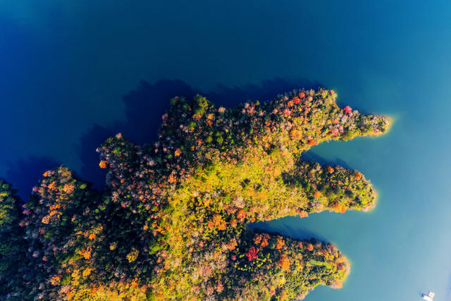 碧水 水库 彩林 河流 生态