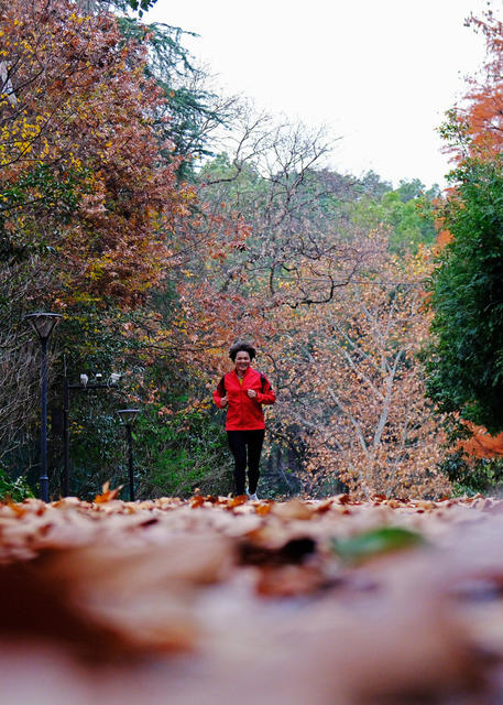 冬日健身乐，湖南省植物园
