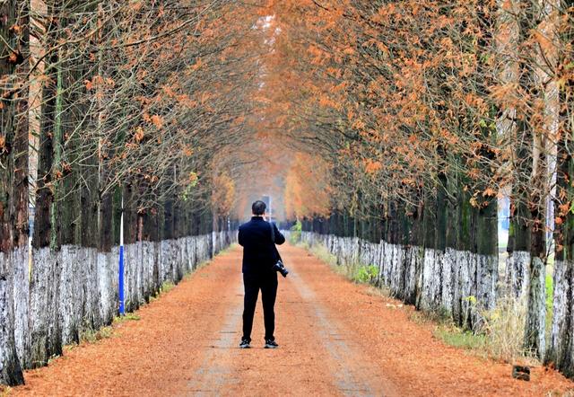 湖南  常宁  乡村  公路  美景