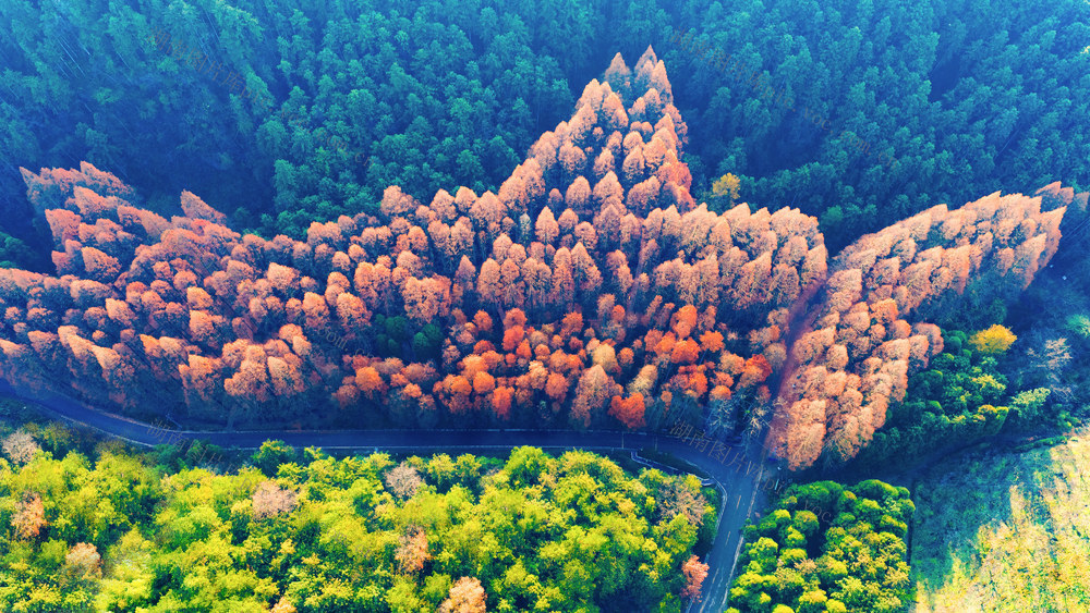 自然  生态  森林  旅游  怀化