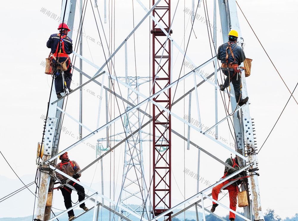 嘉禾：组塔施工忙