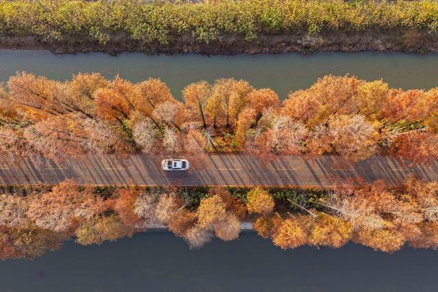 乡村道路美如画