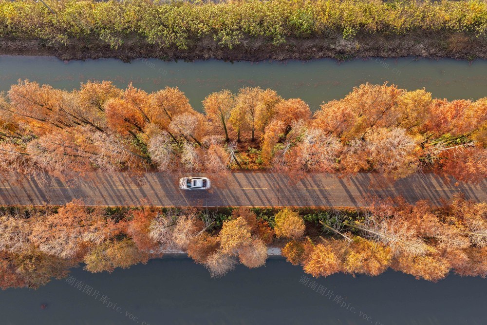 乡村道路美如画