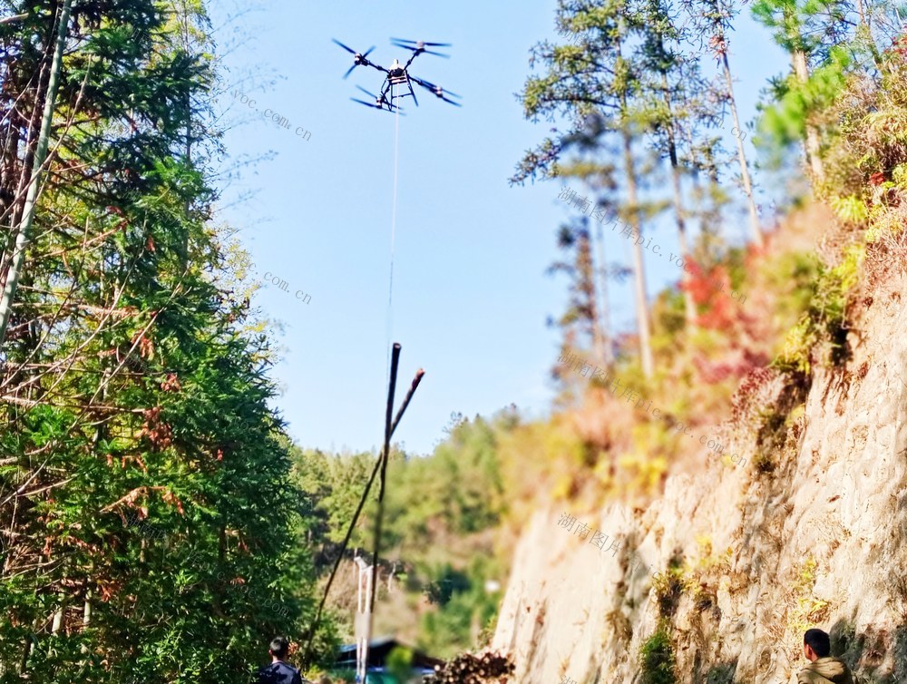 楠竹  吊运  增收