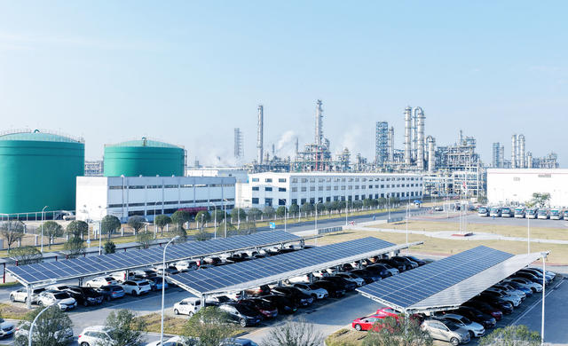 光伏发电一举两得