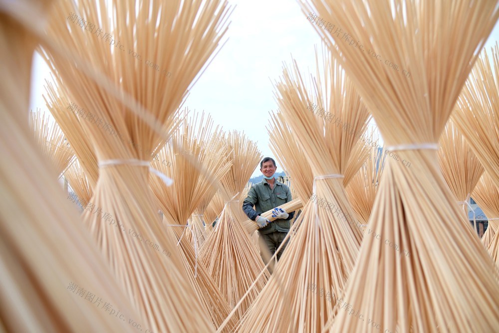 南竹  产业  乡村振兴  企业