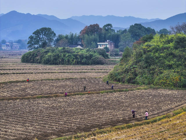 冬至  农事  翻耕农田  管护  整理农田
