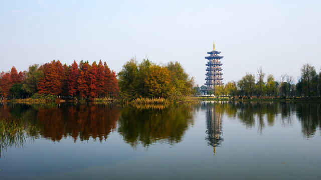 洋湖湿地公园五彩斑斓