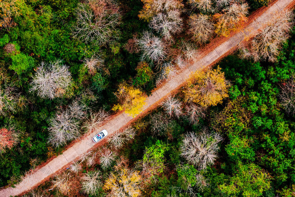 巡逻 交警 警车 路 隐患