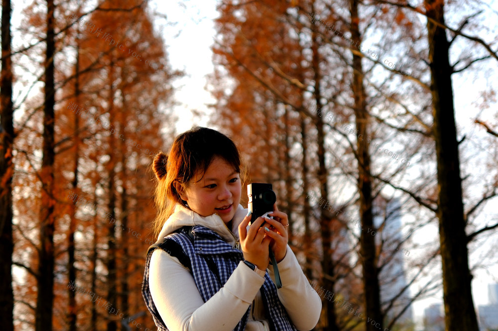 烈士公园冬景美