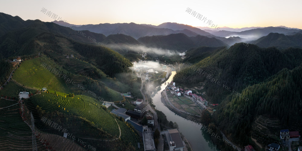 洞口 鼓楼 茶园 茶厂 夕阳 日落 全景