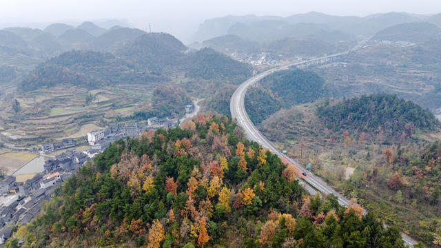 幸福村 多彩 冬日 乡村 层林尽染