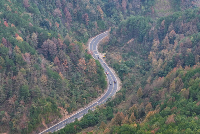 公路、冬天、山林、出行、风光