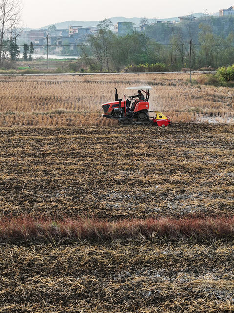 嘉禾：农田翻耕助生产
