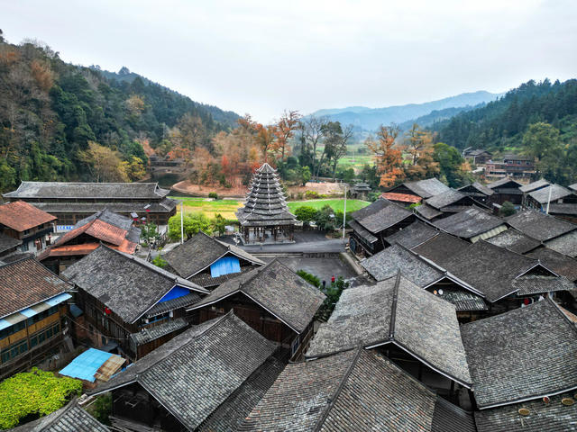 冬日 侗寨 红叶 民居 美景