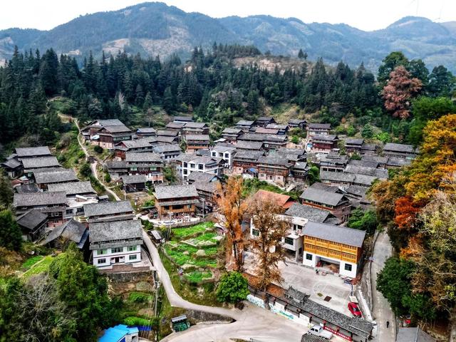 冬日 苗寨 青山 红叶 美景