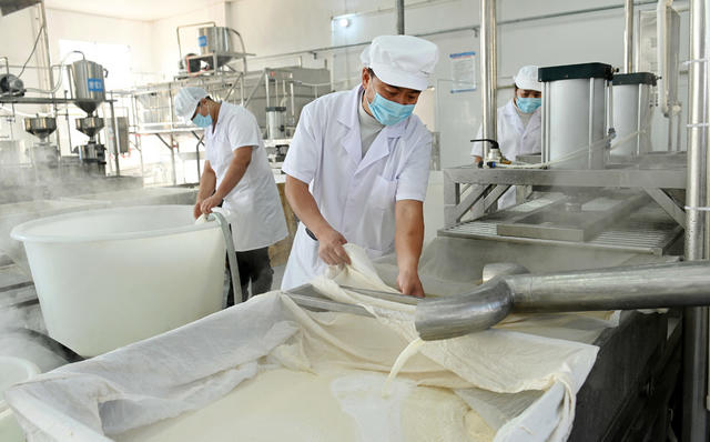 产业 食品 豆腐 企业 作坊 规模化 传统 手工业 加工 生产 技术创新 工人