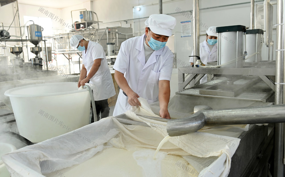 产业 食品 豆腐 企业 作坊 规模化 传统 手工业 加工 生产 技术创新 工人
