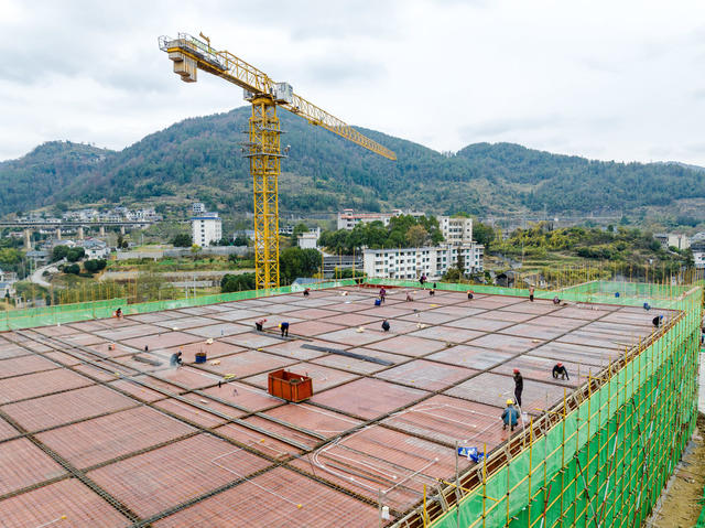 农产品 马颈坳镇 仓储物流 乡村振兴