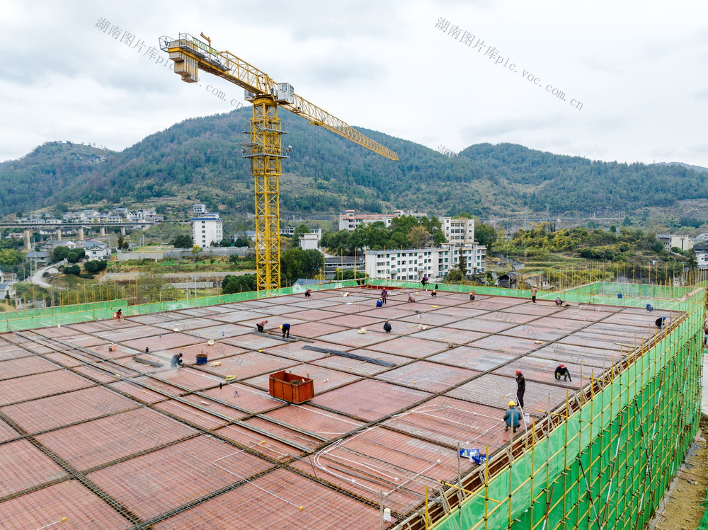 农产品 马颈坳镇 仓储物流 乡村振兴