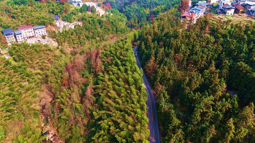 冬日  乡村  风景  画卷