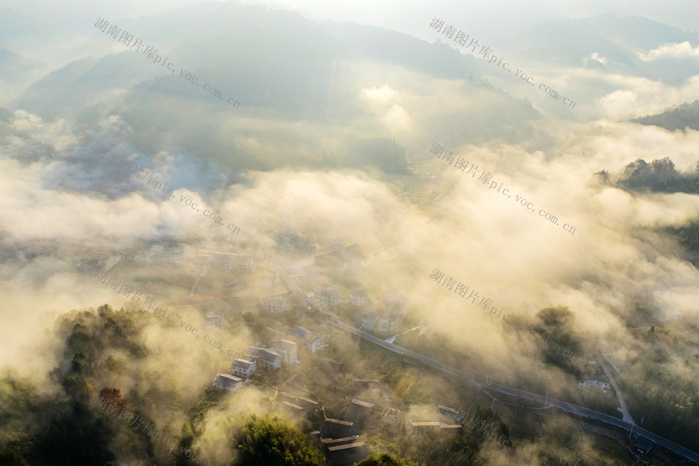 乡村 晨雾 和美乡村 雾 路