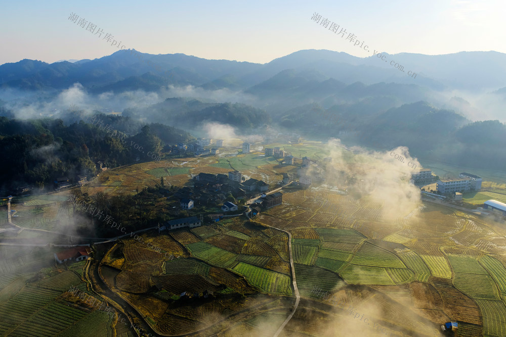 乡村 田园 和美乡村 雾 路