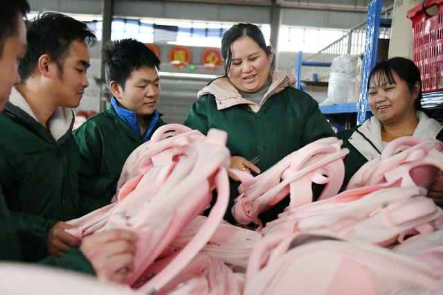 国际 残疾人日 城步 七七科技  技师 互授 技能