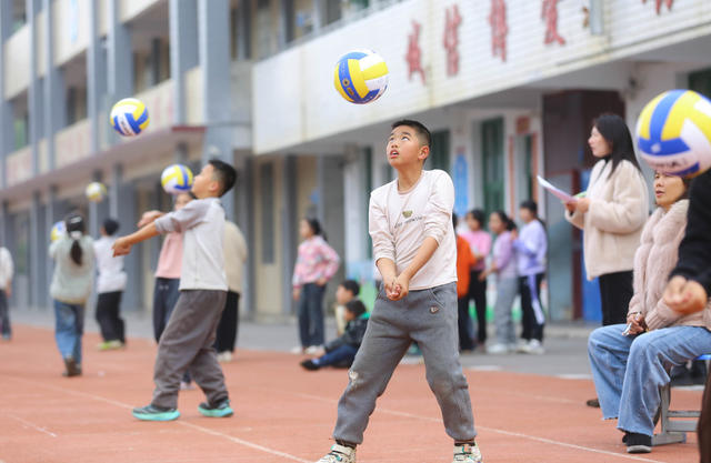 运动 新年 篮球 排球 比赛  全员运动