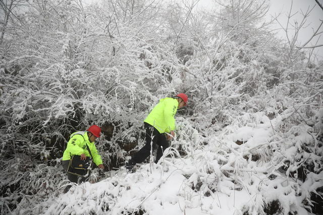 龙山 瑞雪 跨年 电力巡线